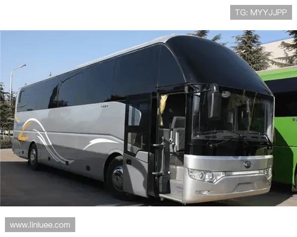 粤语中超直播带你沉浸体验赛场激情全面解读球队动态与精彩瞬间