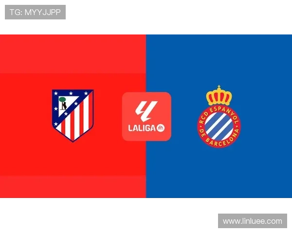 马德里竞技俱乐部：从竞技到辉煌的成长历程与未来展望