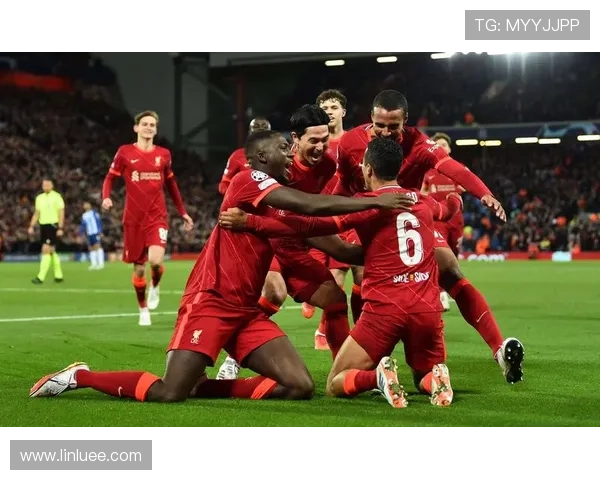 2025年欧洲冠军联赛赛程安排详解及各阶段时间节点解析