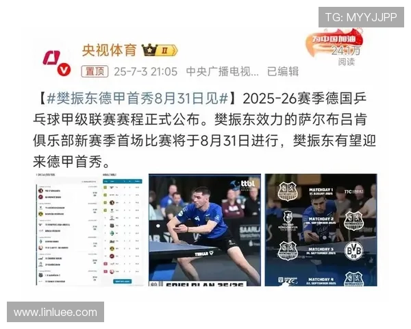 2025德甲乒乓球联赛精彩回顾与未来发展趋势分析