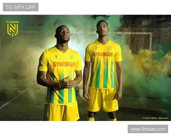 南特足球俱乐部的辉煌历史与未来发展展望