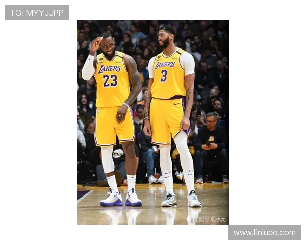 最新NBA动态：湖人队复兴之路起航，詹姆斯与戴维斯携手迎接新赛季挑战