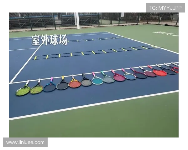 网球比赛常见场地类型解析与选择对比赛的影响