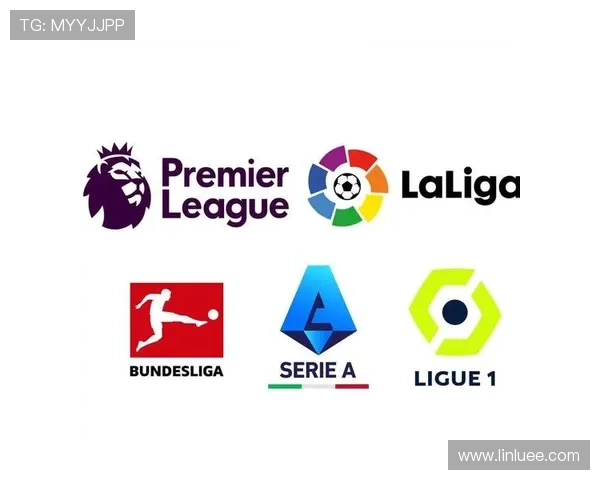 英超和西甲是什么意思及两大联赛的区别与影响力解析 英超和西甲是什么意思及两大联赛的区别与影响力解析