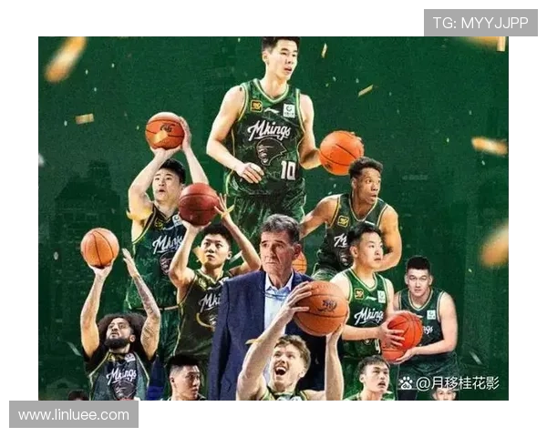 中国篮球联赛迎来新变革 多支球队签下强援力争季后赛席位 中国篮球联赛迎来新变革 多支球队签下强援力争季后赛席位