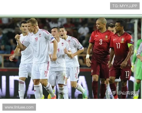 荷甲积分榜规则详解：如何计算积分及排名的关键因素